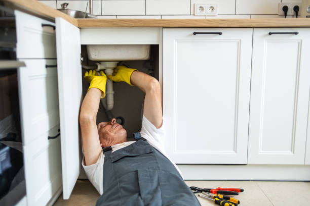 Best Plumbing Inspection Services  in Antelope, CA