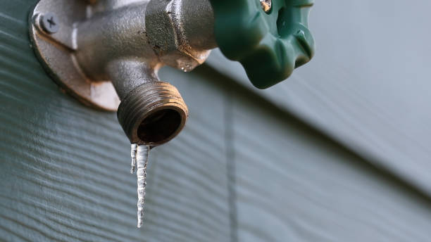 Best Local Plumber Services  in Antelope, CA
